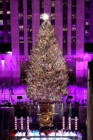 Christmas tree lighting